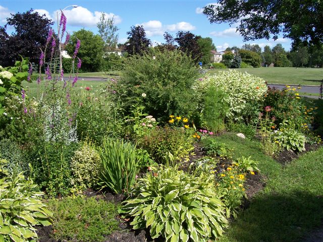 Alliance Flowers taken August 11, 2006