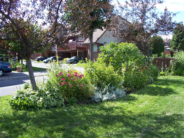 Alliance Flowers taken August 11, 2006