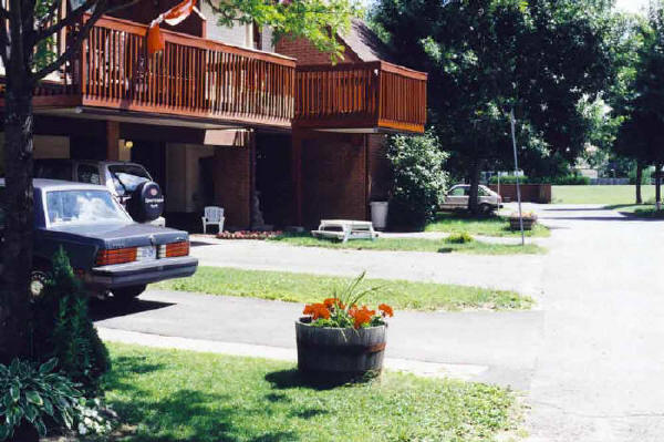 From end of Honey Suckle Pvt. opening up to White Clover Pvt.