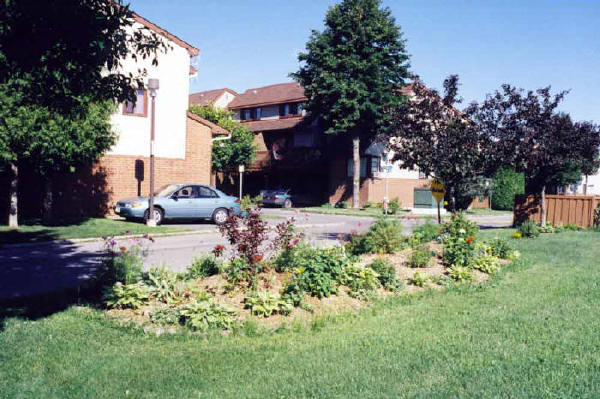 From Tapiola Crescent sidewalk showing entrance onto White Clover Pvt.