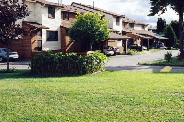 From field beside Co-op showing Rosebud Pvt.