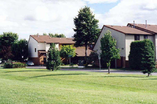 From field beside Co-op showing White Clover Pvt.